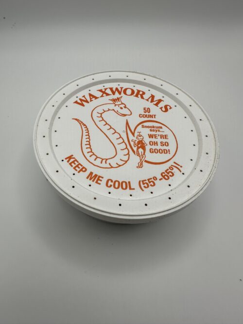 Waxworms - Image 3