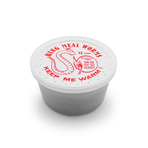 King Mealworms - Image 3