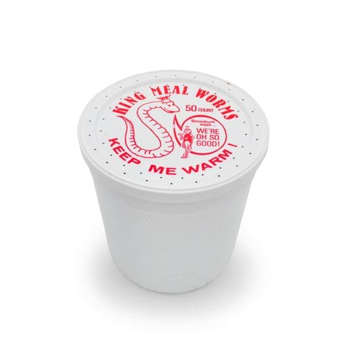King Mealworms - Image 4